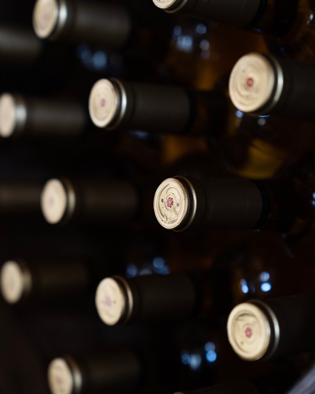 A cellar full of possibilities 🍷 Each bottle waiting for the right moment to be opened.

#MirafloresWinery