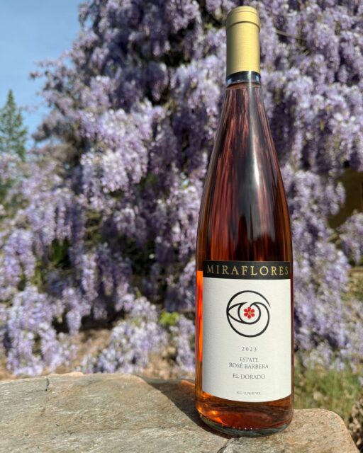 Step into the tasting room and experience our 2023 Estate Ros&eacute;  Barbera! Crafted with intention, meant to be savored.

#Ros&eacute;
#Ros&eacute;Barbera
#MirafloresWinery
