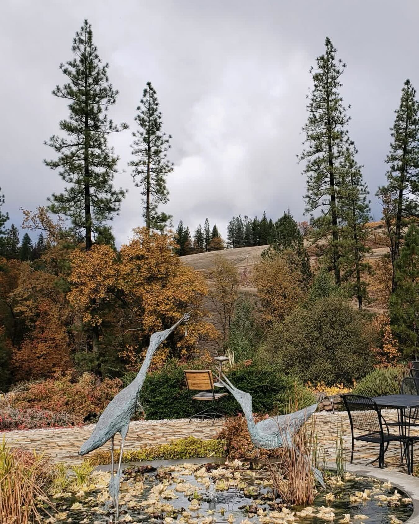 Wine, art, and nature: the Miraflores experience
Take astroll through the grounds and discover something new each visit.

#MirafloresWinery