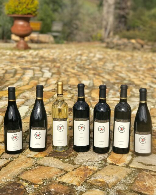 Cellar restock season is here. Enjoy $100 off select cases for members. Call (530) 647-8505 or visit the tasting room to reserve yours.

#CaseSale
#MirafloresWinery