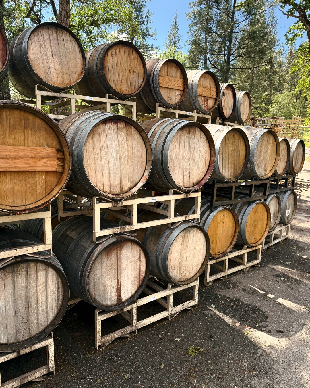 Looking to upgrade your garden? We&rsquo;ve got barrels ready for your planting needs!

Grab yours for just $60 each, available now at Miraflores. We&rsquo;ve got plenty in stock, so come by and pick one up before they&rsquo;re gone!

#MirafloresWinery