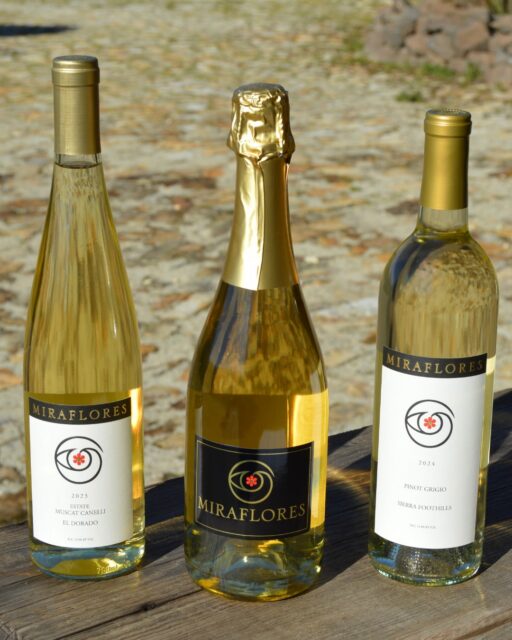 Cheers to our Q2 White Wine Club release! 🥂

This quarter&rsquo;s curated selection included our refreshing 2024 Pinot Grigio, aromatic 2023 Estate Muscat Canelli, and the elegant Blanc de Noirs Limited Select. Each wine offers its own unique character while perfectly capturing the spirit of the season.

Being part of our Wine Club means enjoying exclusive wines, member-only experiences, and special releases throughout the year. Thank you to all of our members for being part of the journey! 

#MirafloresWinery