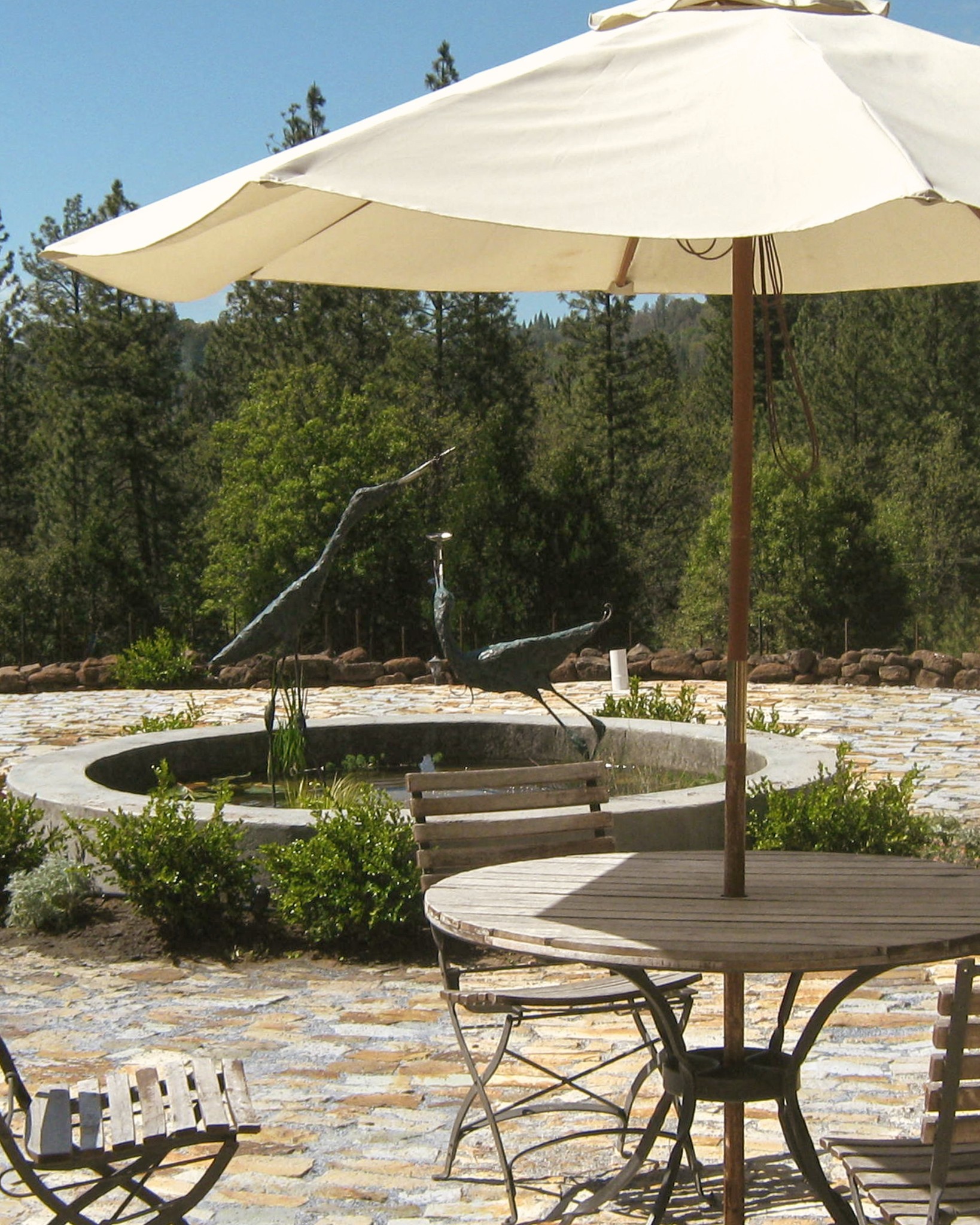 Looking for a relaxing winery experience in El Dorado County? Pull up a chair, order a tasting, and stay awhile.

#MirafloresWinery 
#visiteldorado 
#PlacervilleCA 
#WineTastingExperience
#ElDoradoWineCountry 
#BoutiqueWinery 
#WineLovers 
#VisitElDorado