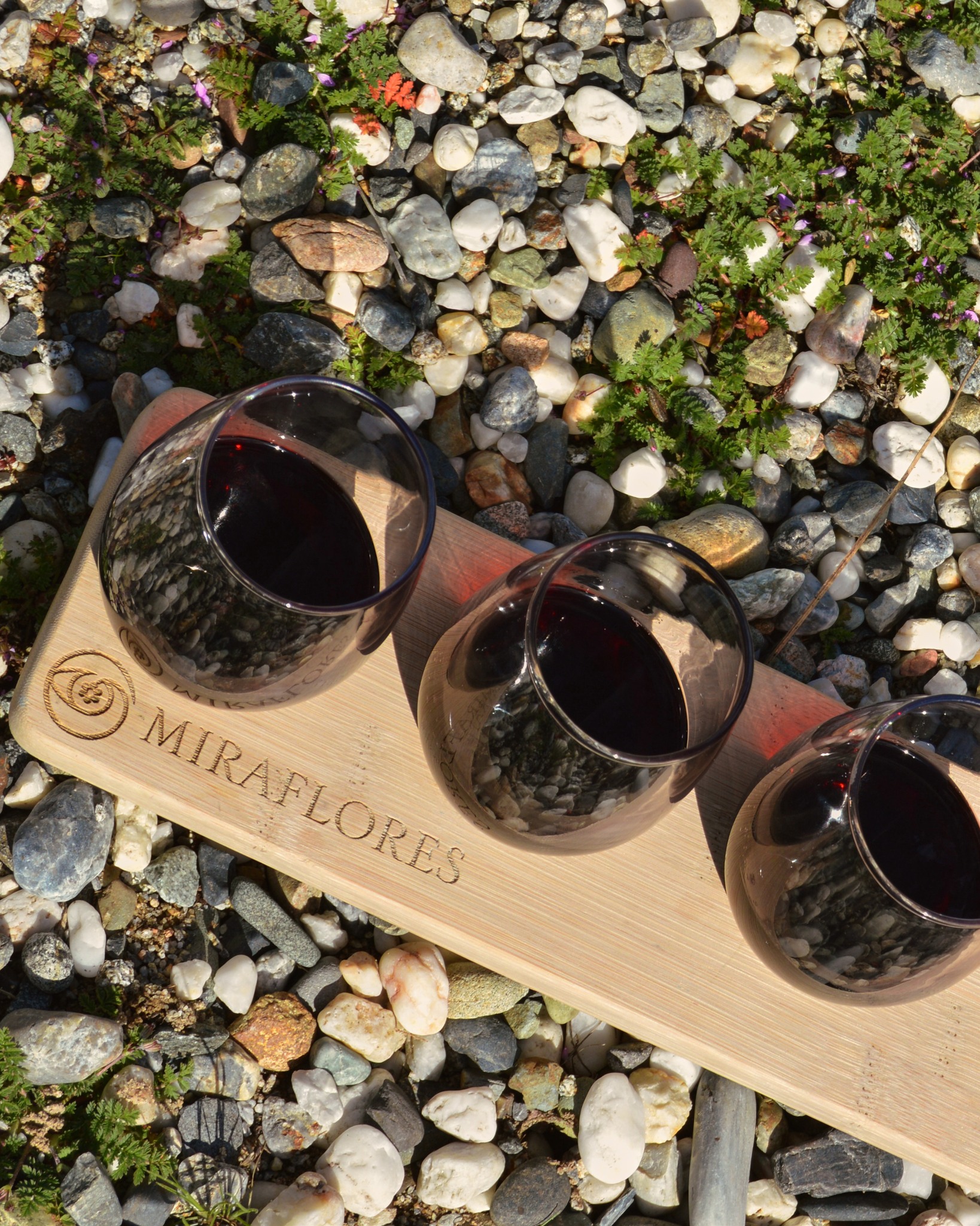 There is always something new to taste at Miraflores. Gather your friends and enjoy a wine flight on our patio.

#MirafloresWinery 
#visiteldorado 
#PlacervilleCA 
#WineTastingExperience
#ElDoradoWineCountry 
#BoutiqueWinery 
#WineLovers 
#VisitElDorado