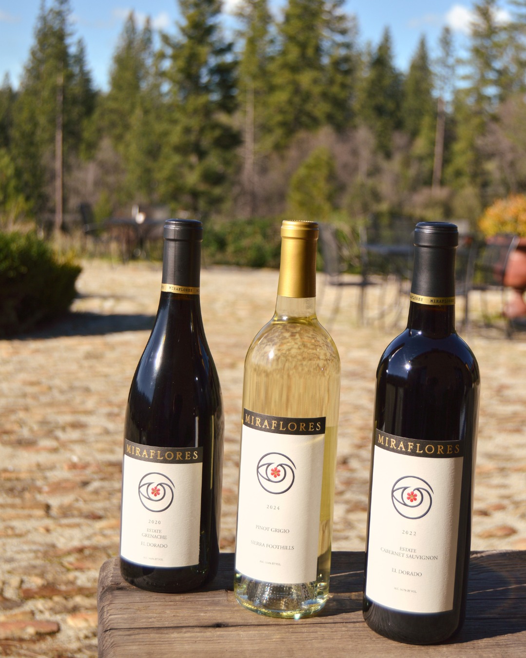 Three wines. Endless possibilities. Whether you're reaching for a crisp Pinot Grigio, a fruit-forward Grenache, or a bold Cabernet Sauvignon, every bottle reflects our passion for exceptional winemaking in the Sierra Foothills.

Which one are you opening first?🍷 Tell us below!

#MirafloresWinery 
#WineCollection 
#CabernetSauvignon 
#PinotGrigio 
#Grenache 
#WineLovers 
#CaliforniaWine
