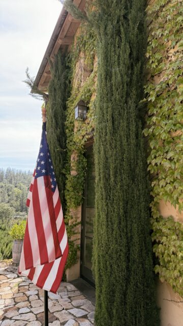 Every corner of Miraflores tells a story.

From ivy-covered walls to vineyard views stretching across the Sierra Foothills, our winery is designed to be as unforgettable as the wines we pour.

Come experience the beauty for yourself.

#MirafloresWinery 
#CaliforniaWinery 
#VisitCalifornia 
#Placerville 
#ElDoradoWine