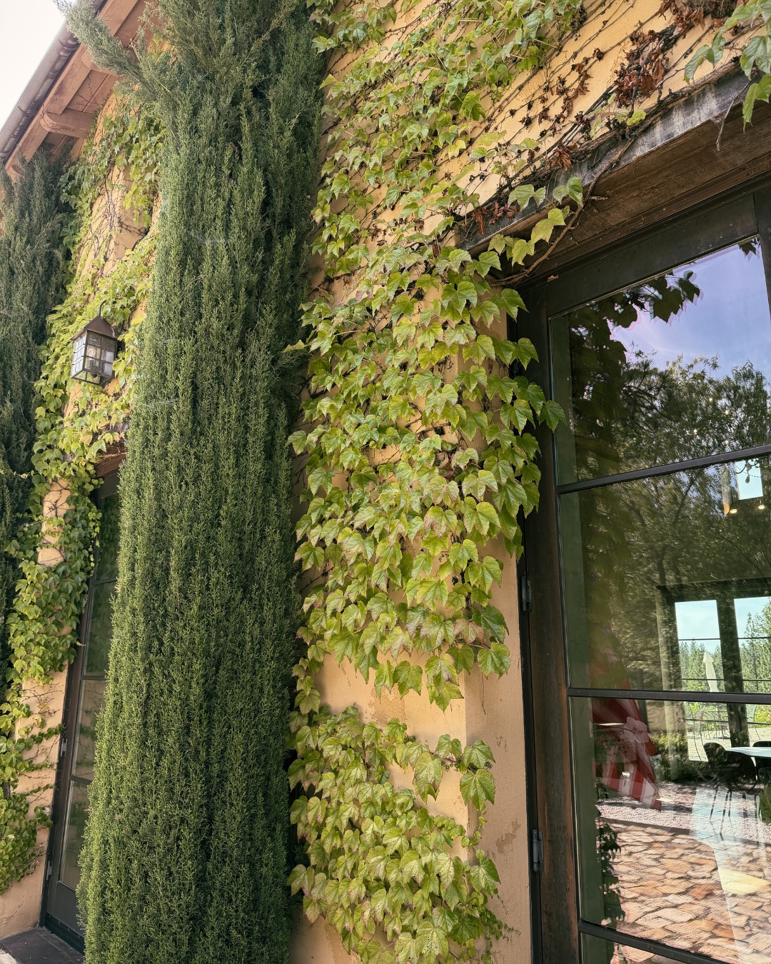 Vines on the walls, pines on the horizon, and a warm welcome just inside. Every corner of Miraflores invites you to slow down and stay awhile.

#MirafloresWinery #WineCountry #WineryVisit #SierraFoothills #ElDoradoCounty