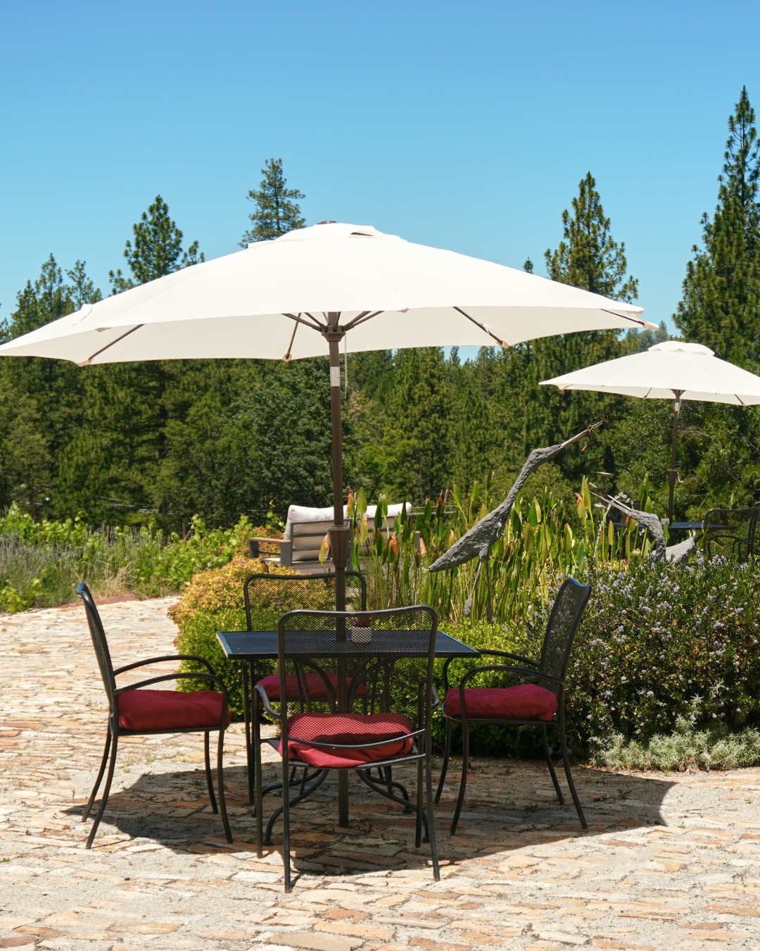 Your table under the umbrellas is waiting. Settle in for sunshine, a glass of Miraflores wine, and sweeping foothill views.

#MirafloresWinery #WineryPatio #WineTasting #SierraFoothills #WineCountry