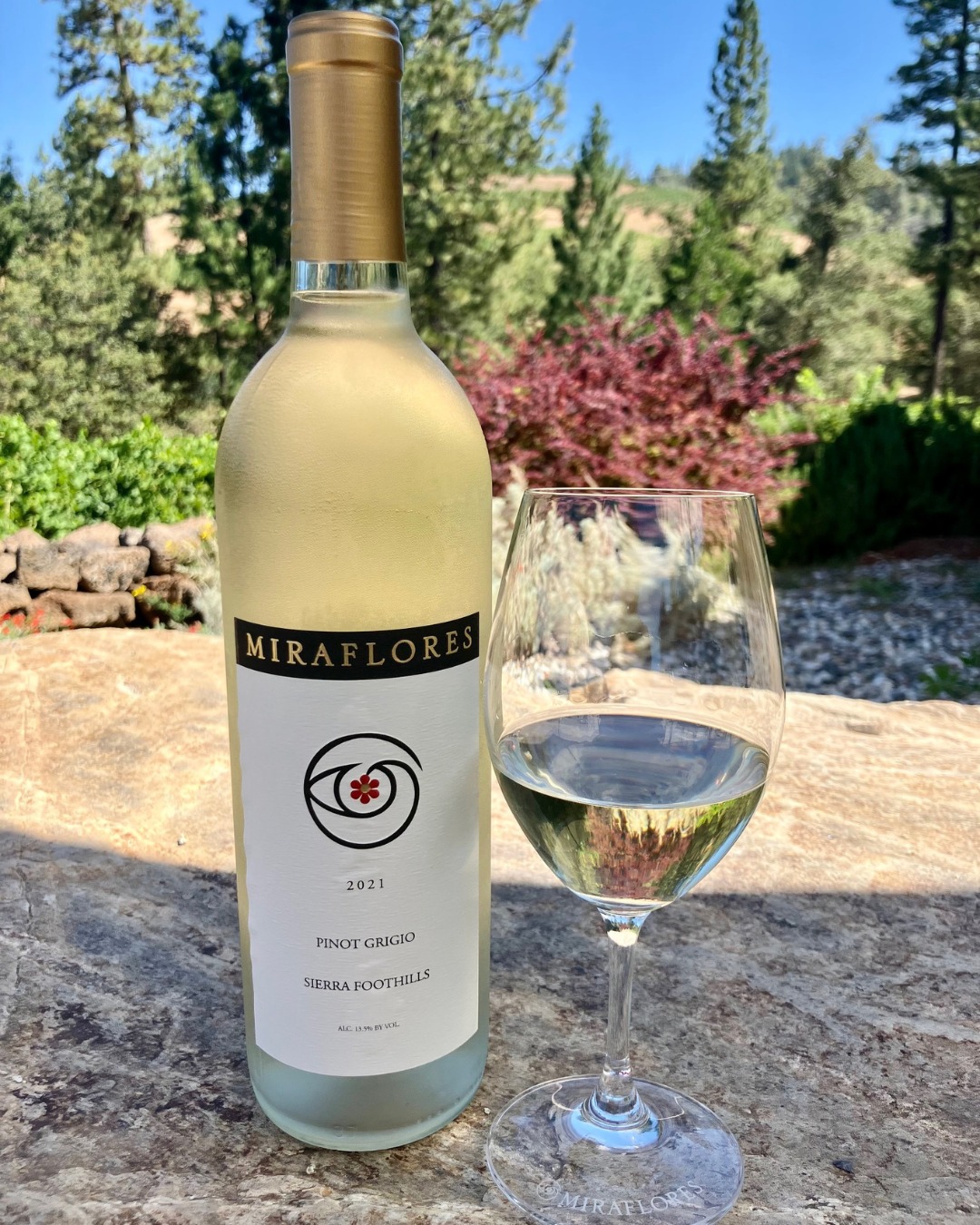 Bright, crisp, and ready for sunshine. Miraflores Pinot Grigio is the kind of refreshing pour summer afternoons were made for.

#MirafloresWinery #PinotGrigio #SummerWine #SierraFoothillsWine #CaliforniaWine