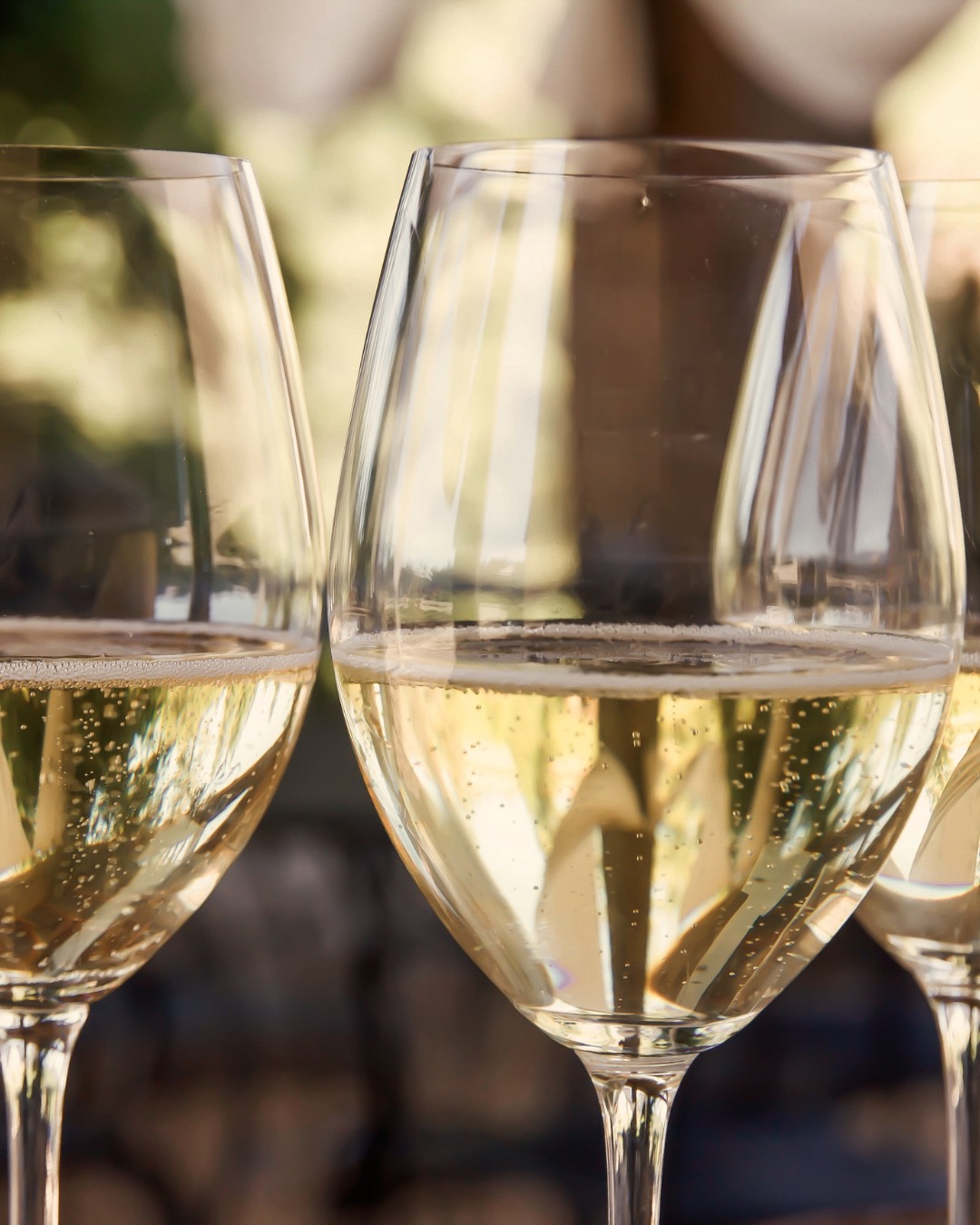 Golden light in the glass and good company around the table. Here&rsquo;s to the simple pleasures of summer.

#MirafloresWinery #WhiteWine #SummerWine #WineTasting #SierraFoothillsWine