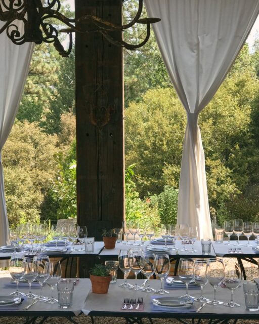 The glasses are polished, the table is set, and the vineyard is just beyond the curtains. All that&rsquo;s missing is you.

Join us for a food-and-wine experience in the Sierra Foothills. Reservations are available through the link in bio.

#MirafloresWinery #WinePairing #VineyardDining #ElDoradoCounty #SierraFoothills