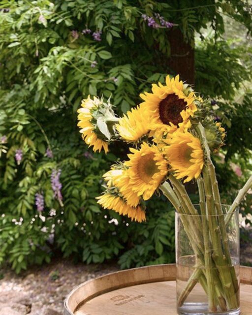 A little sunshine for your September 21. Celebrating Yellow Flower Day with bright blooms and a moment to enjoy the beauty around us at Miraflores Winery. 🌻

From harvest days to quiet afternoons in El Dorado wine country, there&rsquo;s always something worth slowing down for. Who would you share these flowers with?

#MirafloresWinery 
#YellowFlowerDay 
#PlacervilleCA 
#ElDoradoWineCountry 
#VisitMiraflores