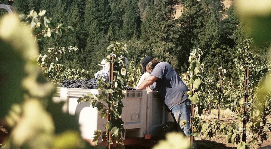 About Miraflores Winery | Winery in El Dorado County