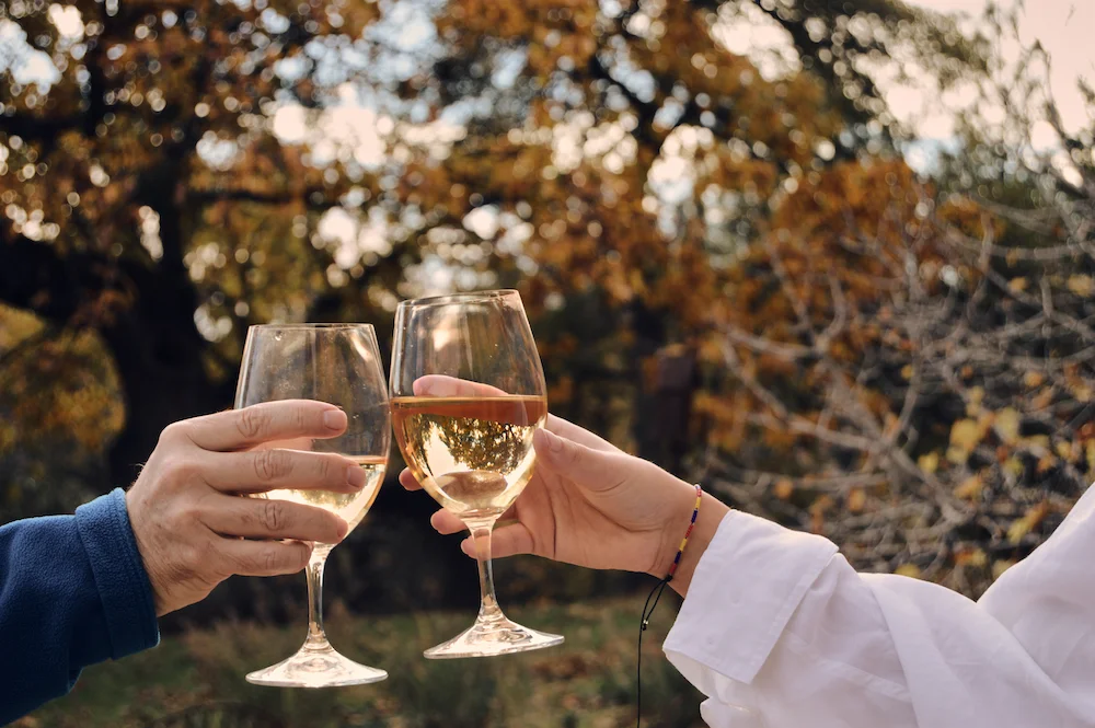 Outdoor Wine Tasting | Wine Tasting El Dorado County