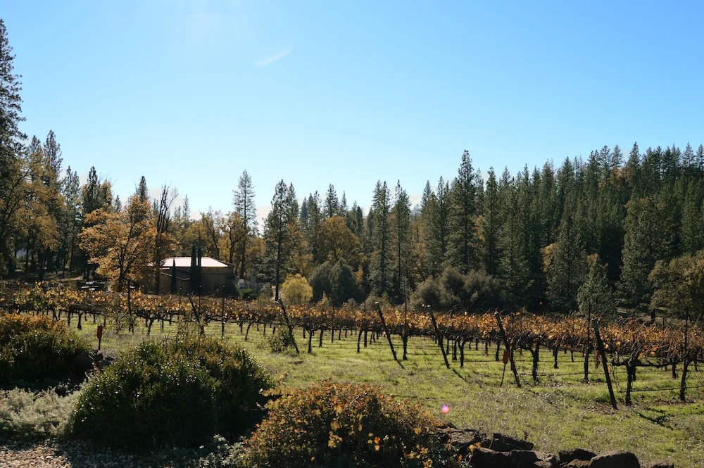 Outdoor Wine Tasting | Wine Tasting in El Dorado County
