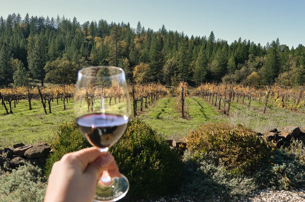 Wine Tasting Outside | Wine Tasting El Dorado County