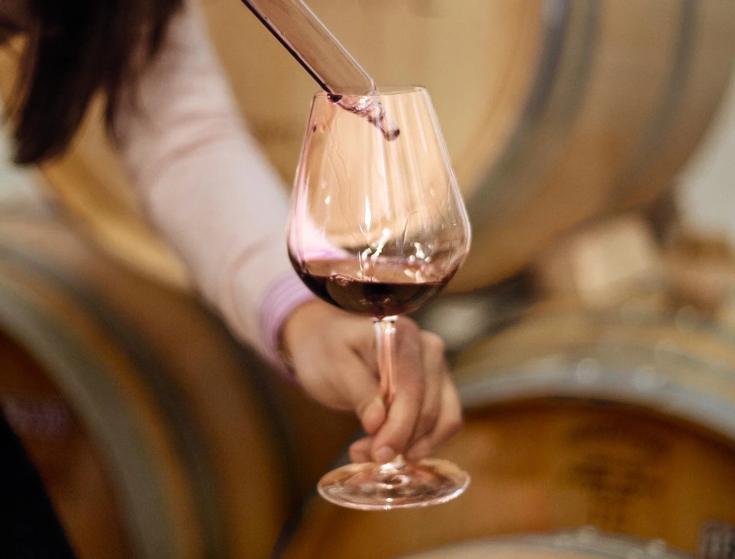 Wine Tasting in the Barrel Room | Wine Tasting El Dorado County