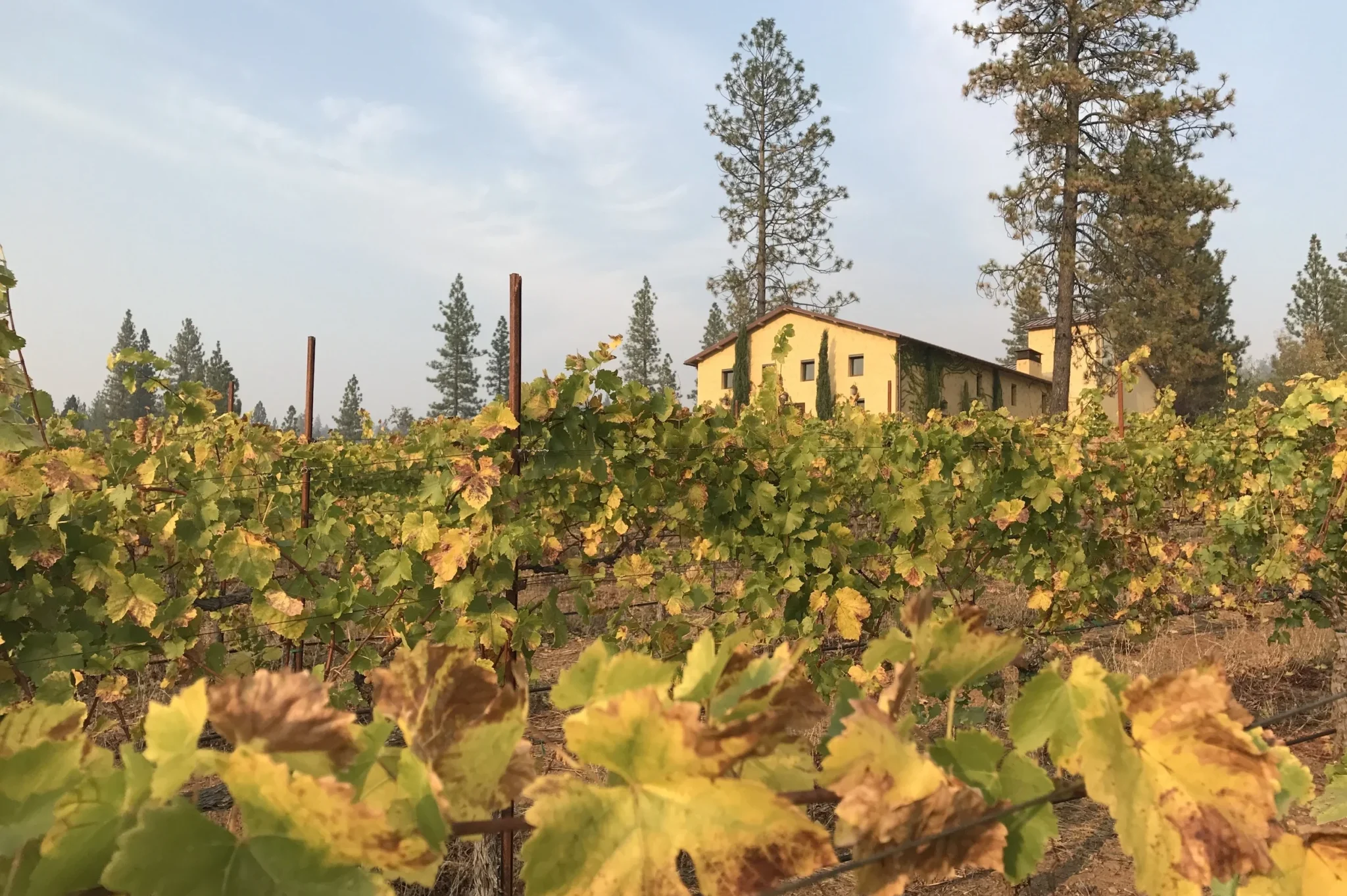 Miraflores Winery | Wineries in El Dorado County Header 3